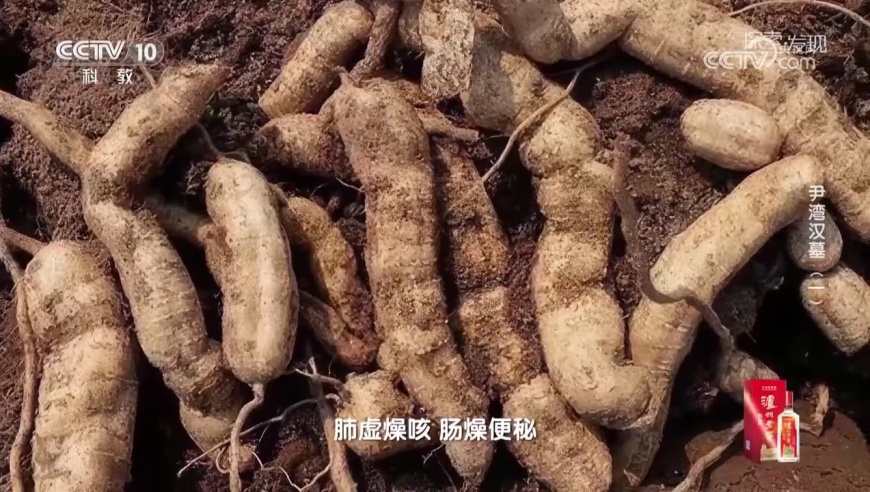 2025澳门免费资料大全,新娘婚礼现场摔倒爸爸新郎飞奔守护,前瞻性战略落实探讨_免费版V6.61